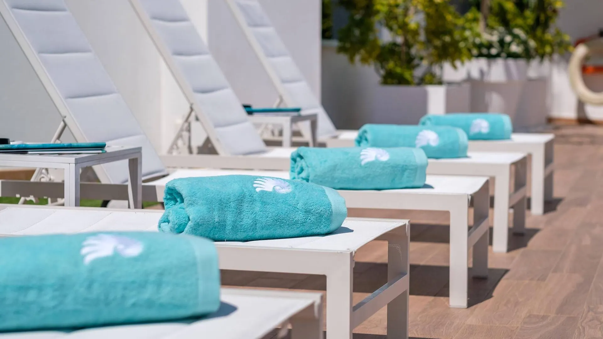 Plaza Santa Ponsa Boutique - Adults Only. Hotel Spain